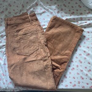 Hollister Brown Corduroy Pants